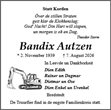 Anzeige