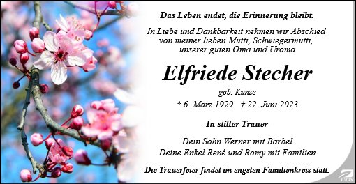 Elfriede Stecher