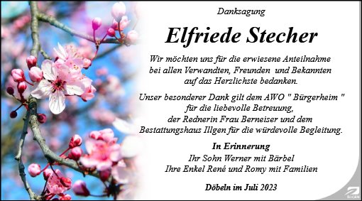 Elfriede Stecher
