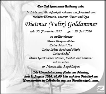 Dietmar Goldammer