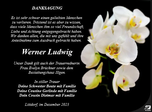 Werner Ludwig