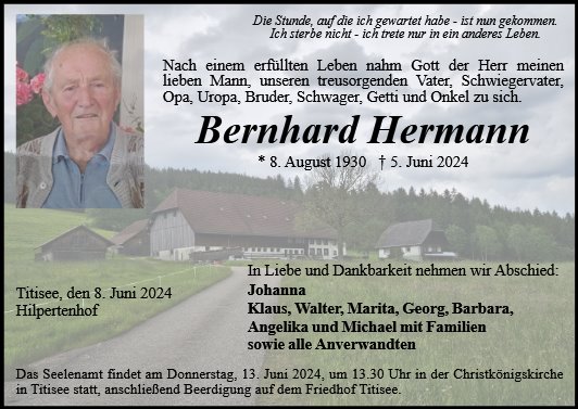 Bernhard Hermann