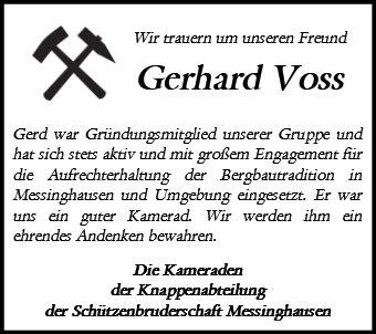 Gerhard Voss