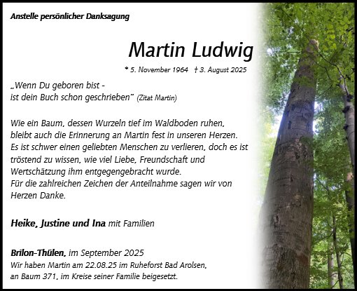 Martin Ludwig