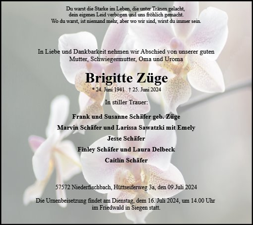 Brigitte Züge