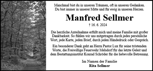 Manfred Sellmer