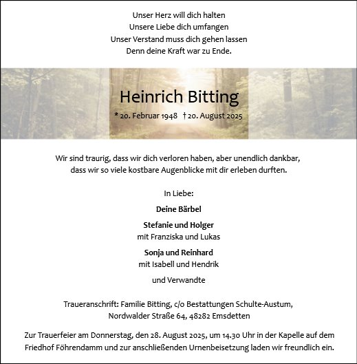 Heinrich Bitting